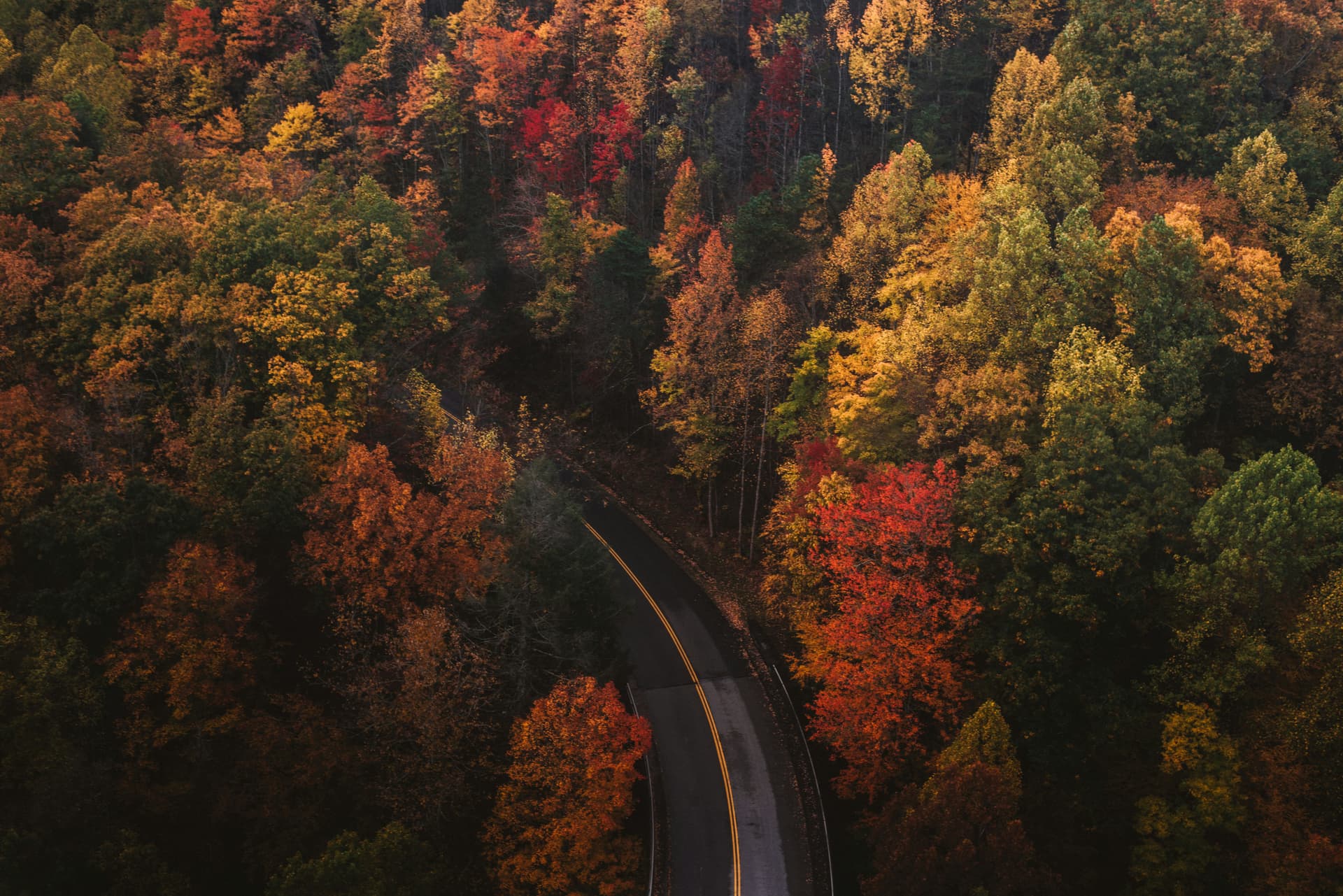 fall road